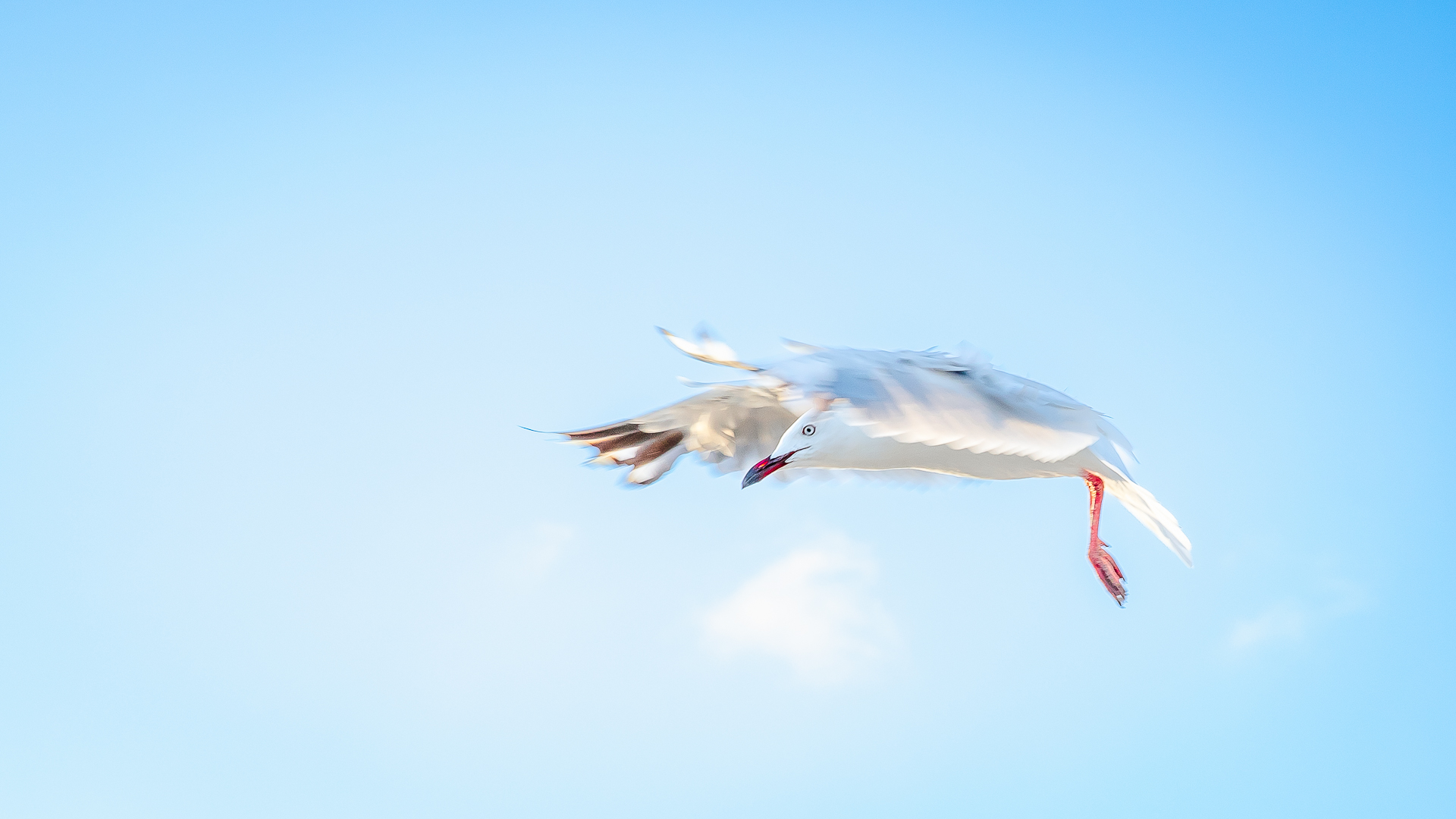In Flight