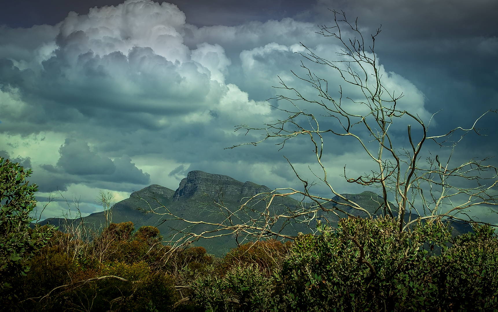 Bluff Knoll