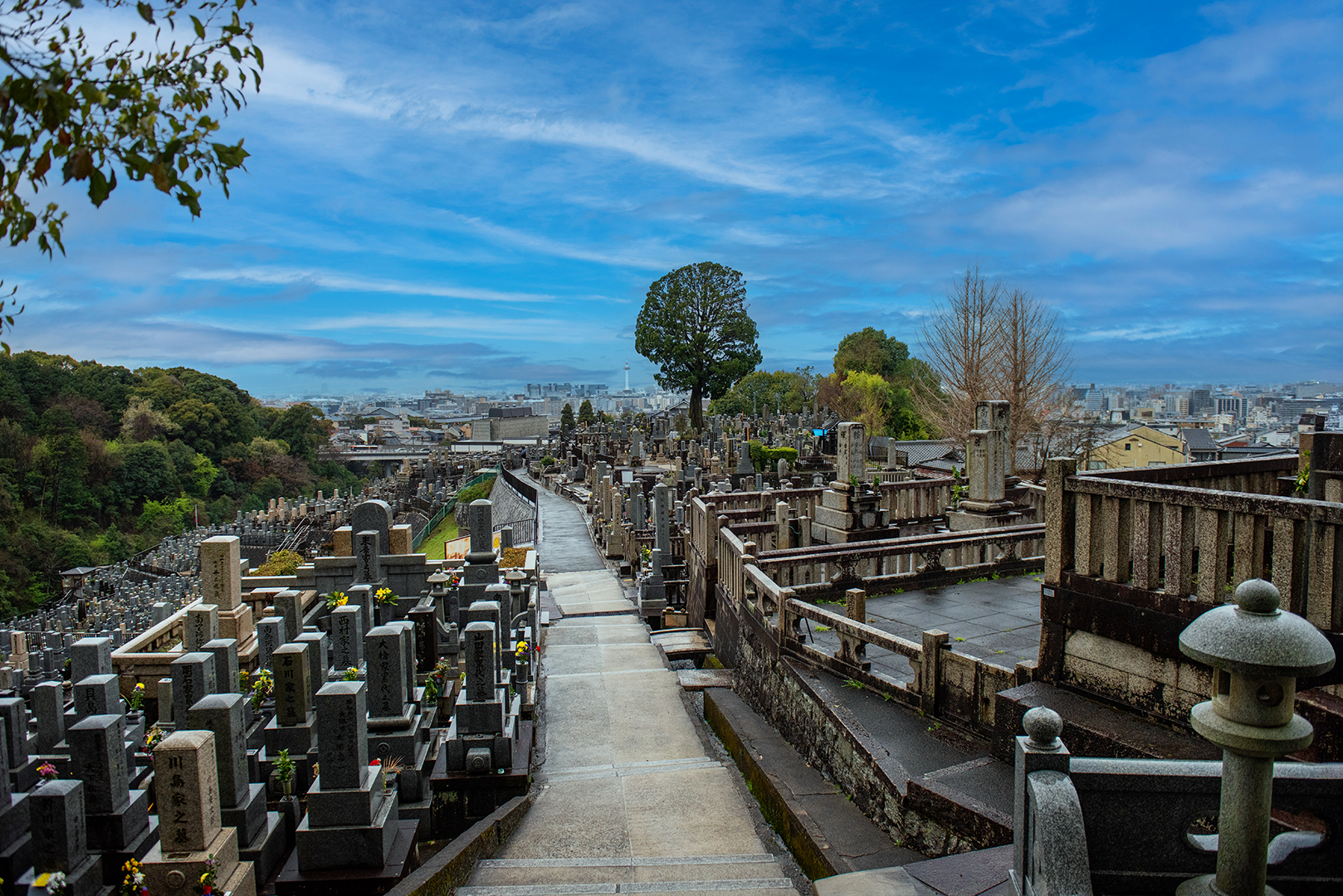 Prime Real Estate with City Views