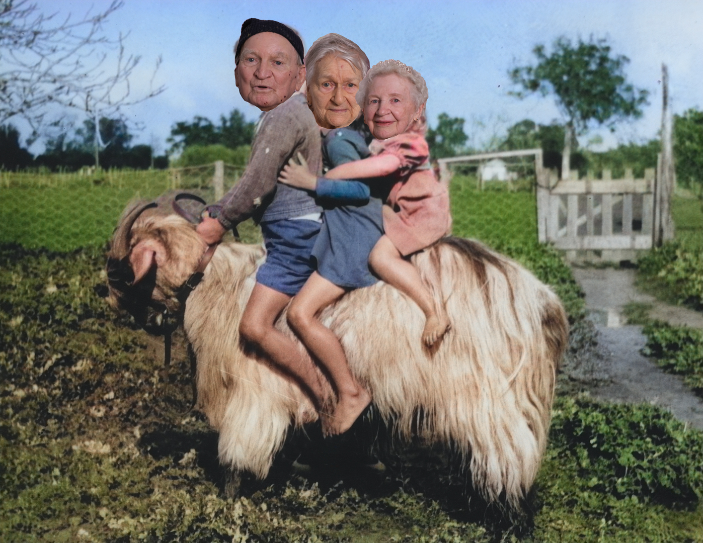 Ride Em Cowboy